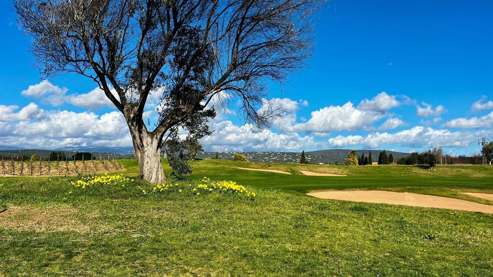Atmosphärisches Mallorca-Motiv zu Golf Son Vida